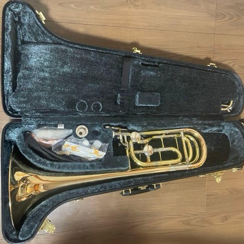 Yamaha ybl 822g professional - yamaha,